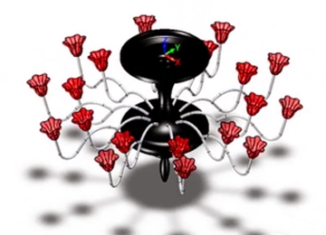 实例教程5：用中望3D进行花瓣吊灯设计
